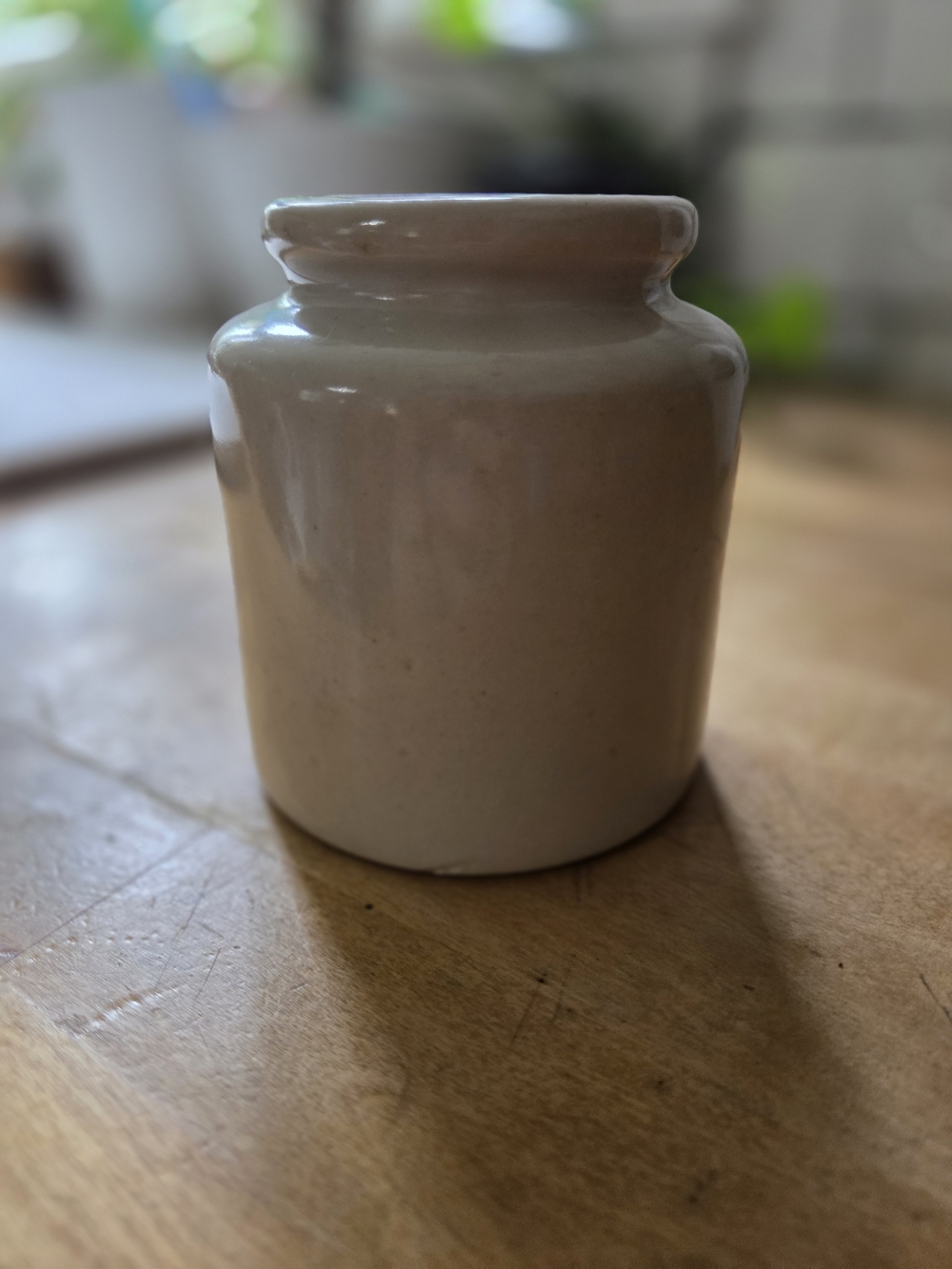 Neutral Cream Ceramic Vase - Minimalist Home Accent